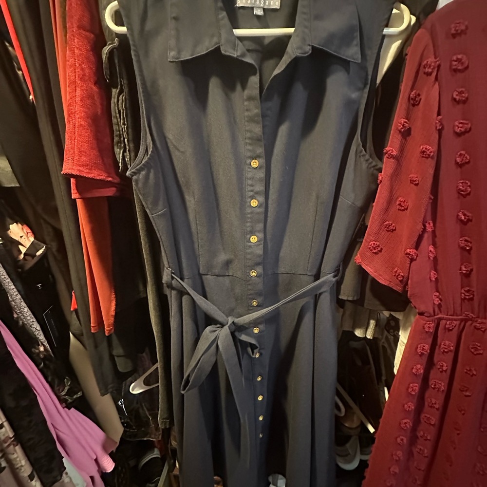 Sharagano Navy Long Sleeve Dress with Gold Buttons